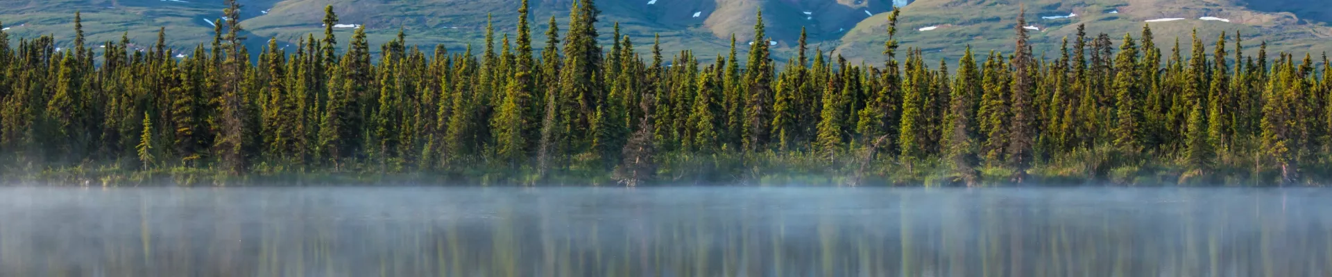 British Columbia – ein wahres Paradies für Straßenreisende - image