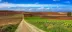 burgos---leon-roadtrip - road trip