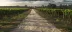 toskanische-weinstra--e-roadtrip - road trip