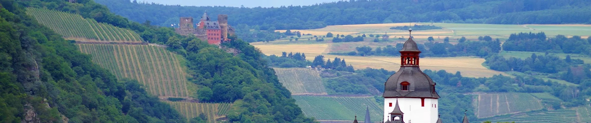 Unterwegs in den Weinbergen der Pfalz - image